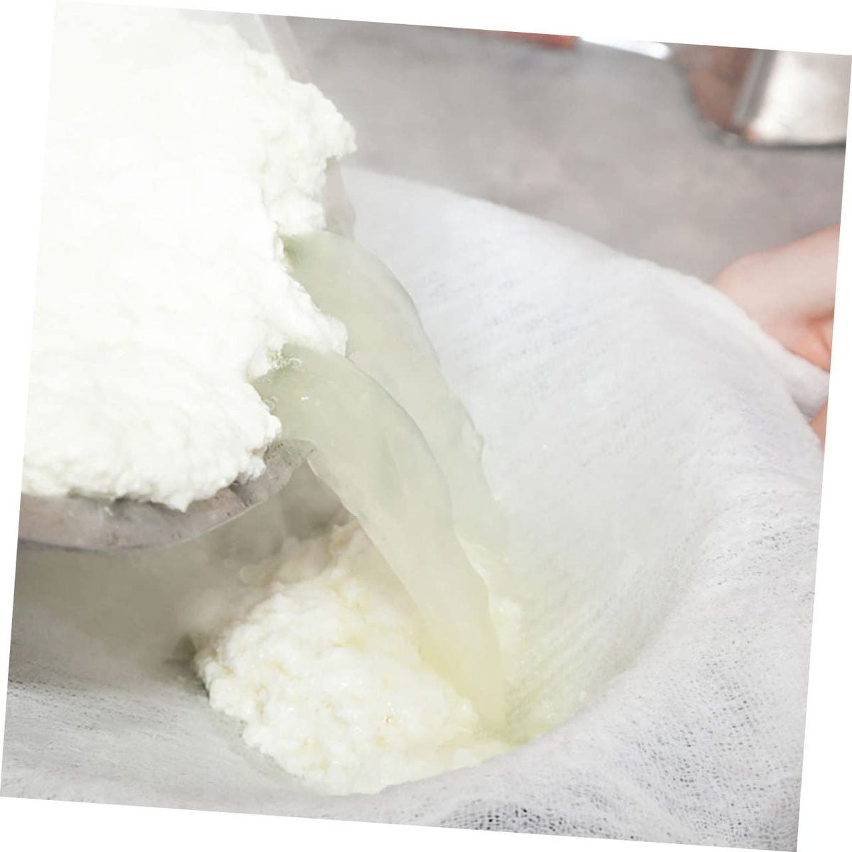 5 Piece Cotton Gauze Filter Cloth M946265