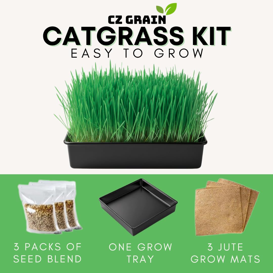 Cat Grass Growing Kit with Organic Seed and Jute Grow Mats B768