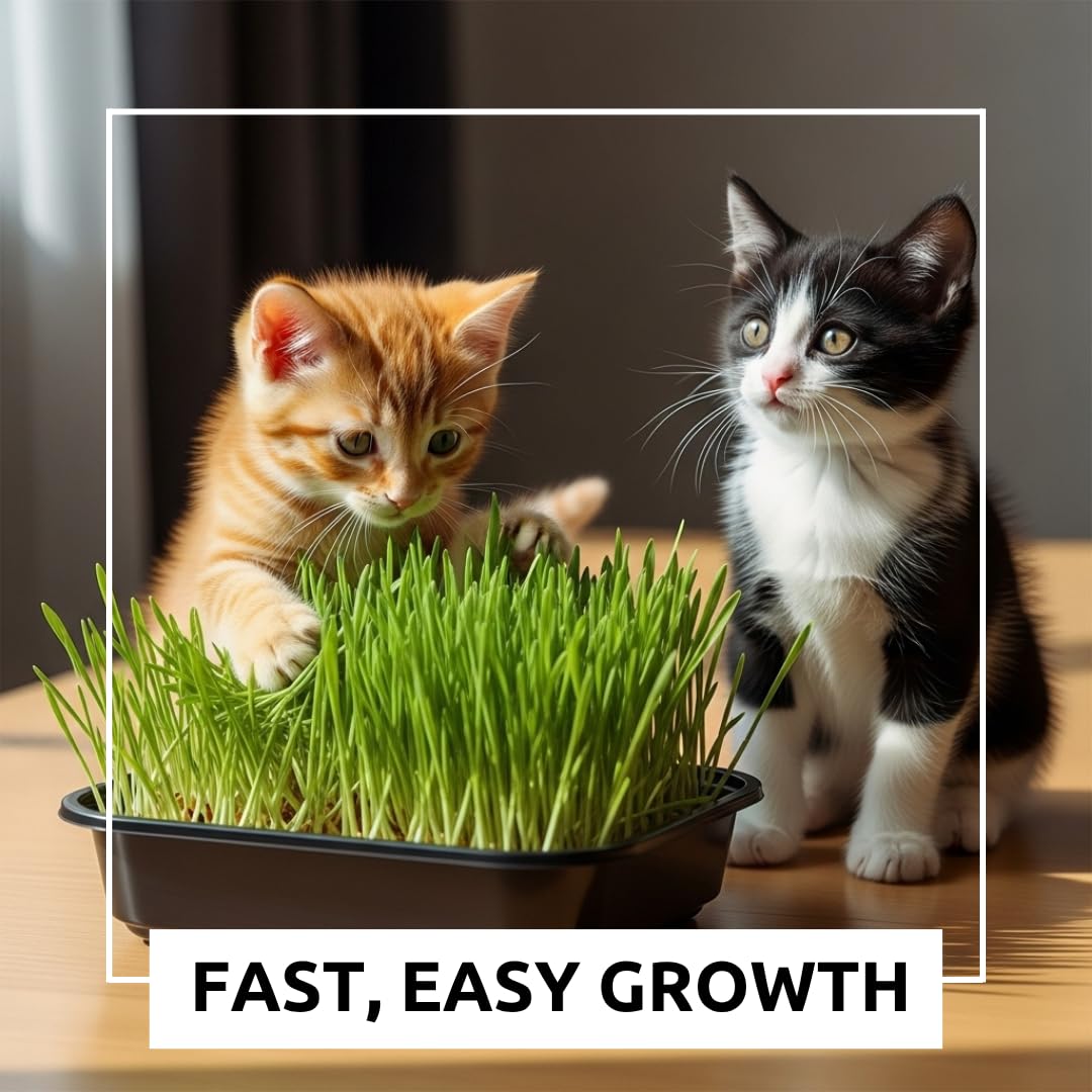 Cat Grass Growing Kit with Organic Seed and Jute Grow Mats B768