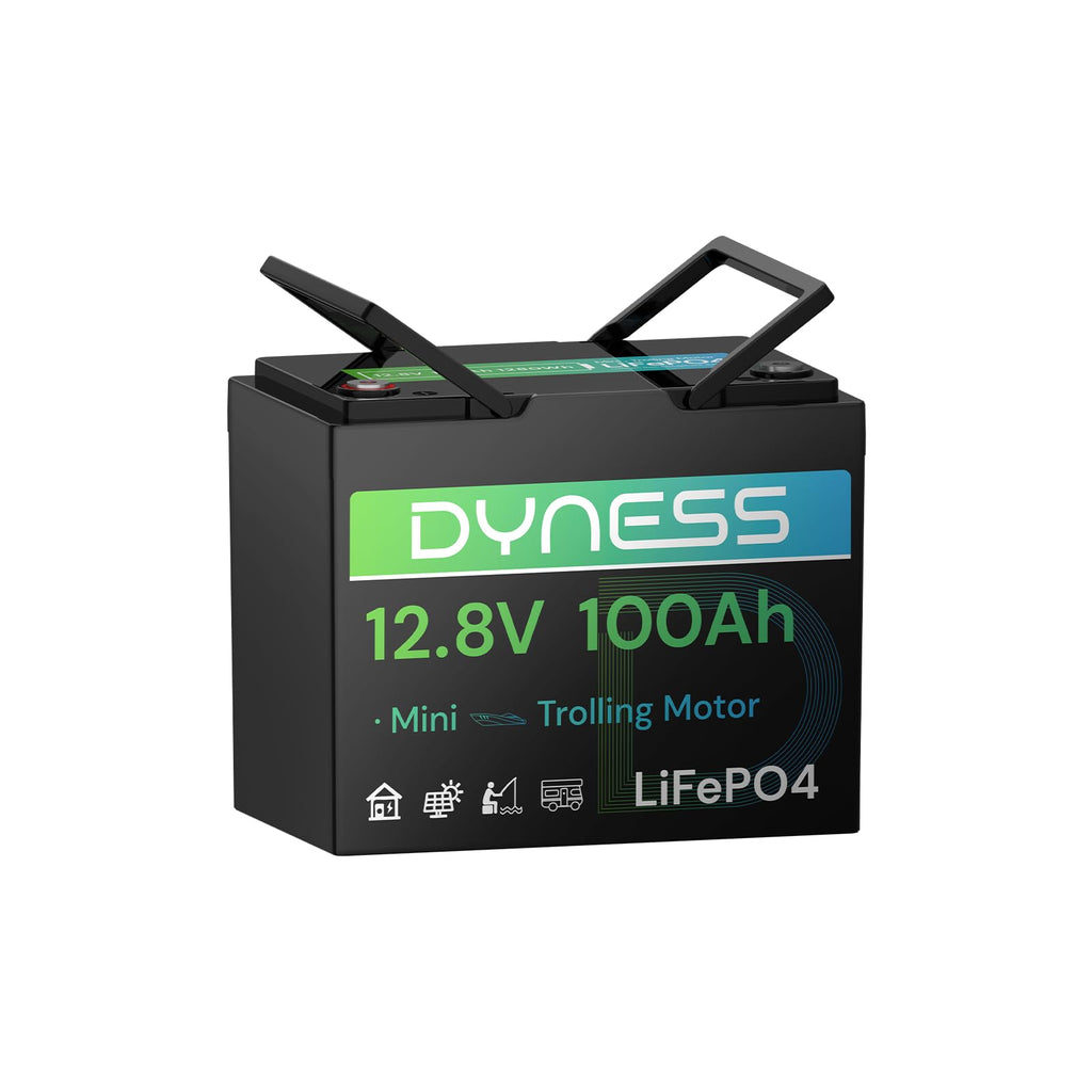 12V 100Ah Mini LiFePO4 Lithium Battery N549964