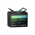 12V 100Ah Mini LiFePO4 Lithium Battery N549964