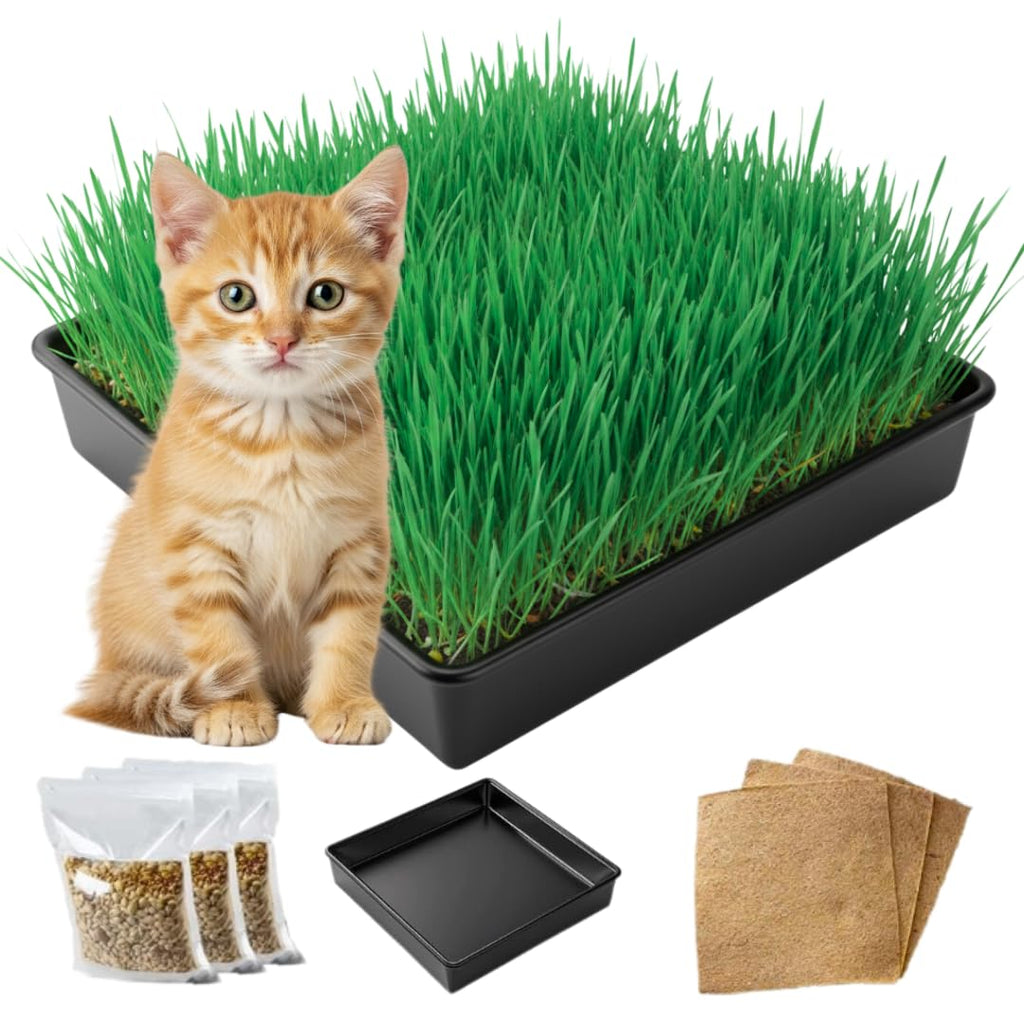 Cat Grass Growing Kit with Organic Seed and Jute Grow Mats B768