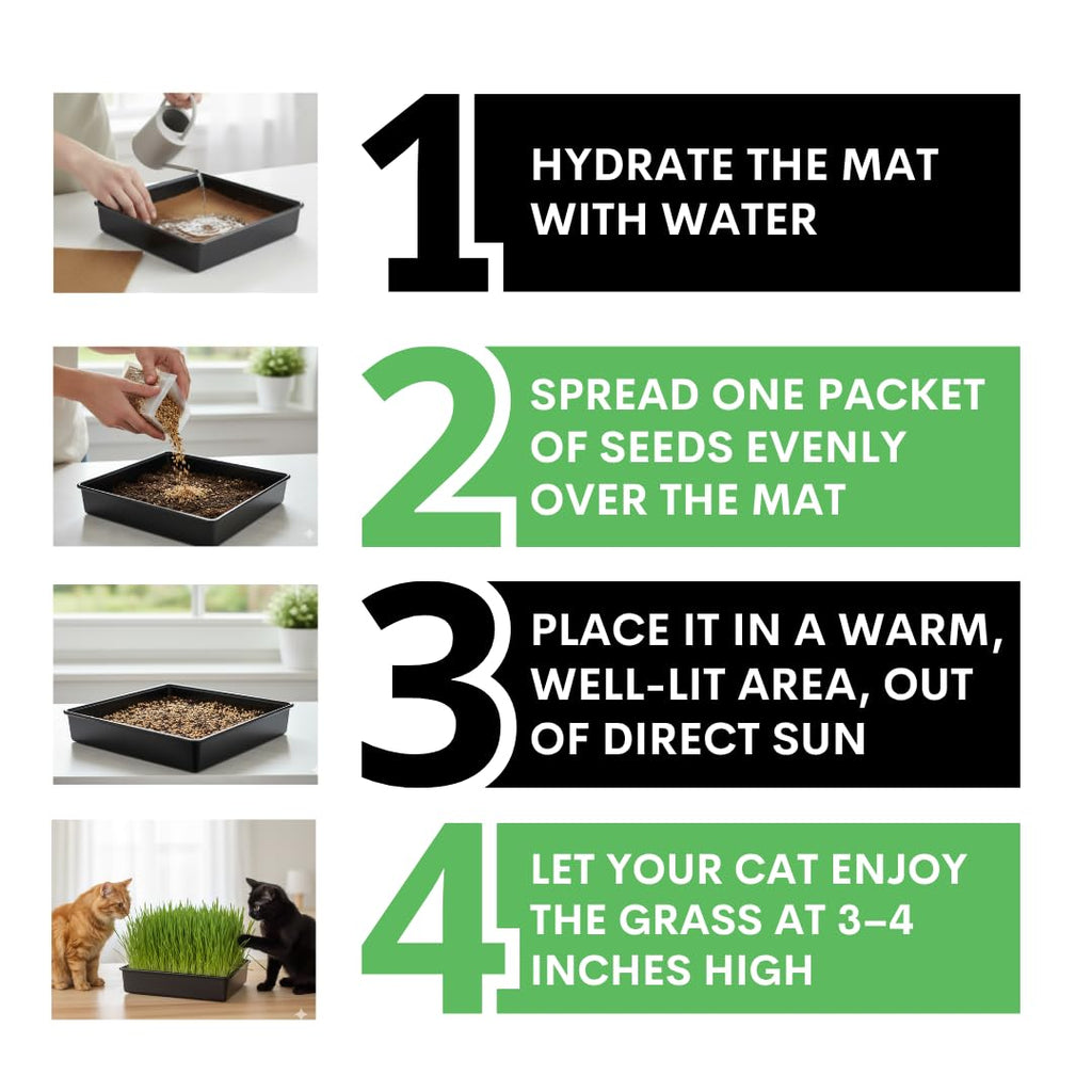 Cat Grass Growing Kit with Organic Seed and Jute Grow Mats B768