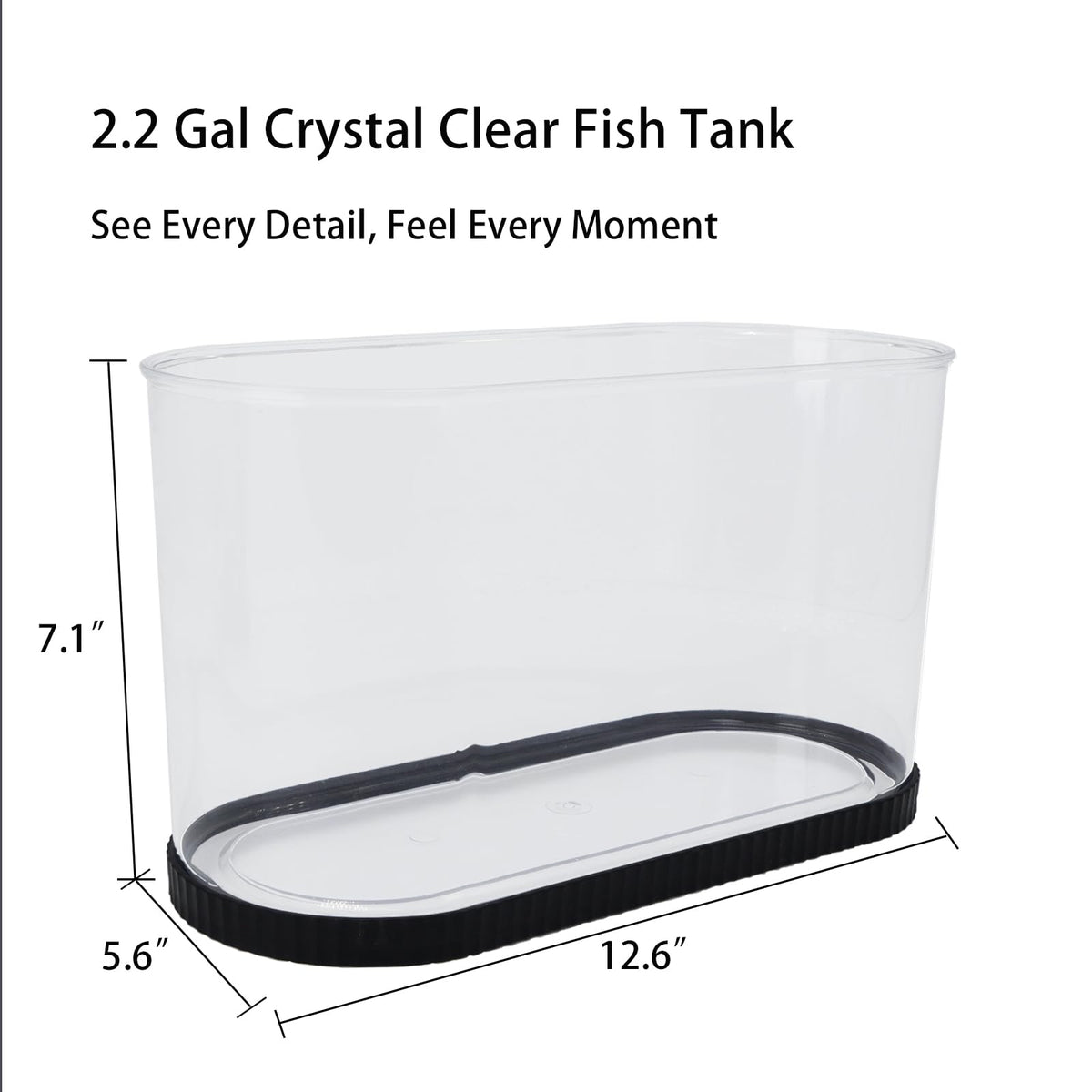 2 Gallon Fish Tank Kit with Filter and Light W634358