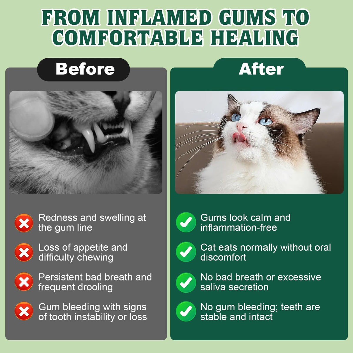 Natural Plant-Based Cat Oral Care 4 oz D31301