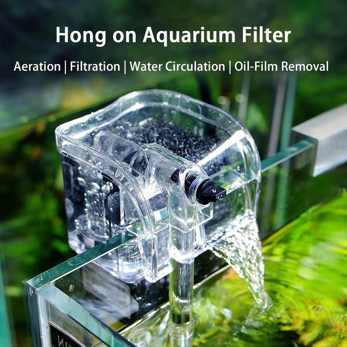 2 Gallon Fish Tank Kit with Filter and Light W634358