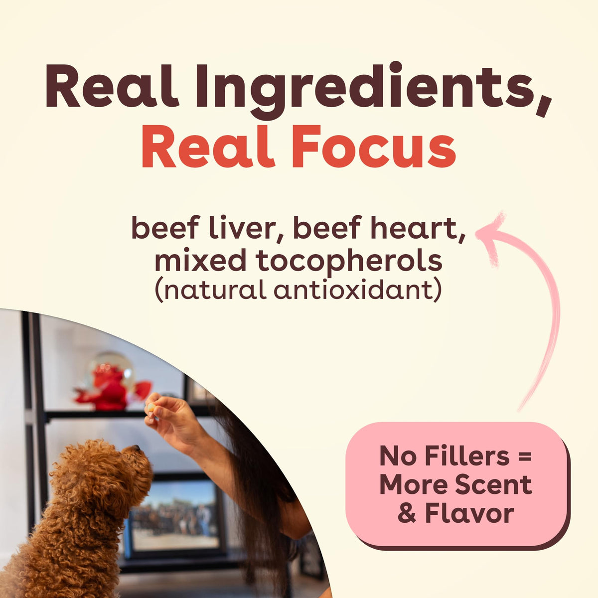 Freeze Dried Training Treats for Dogs & Puppies Beef Liver 4 oz L700