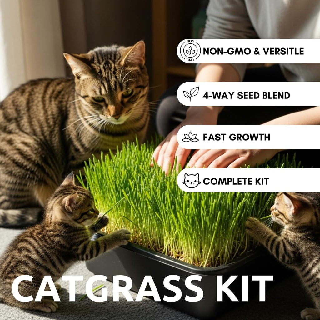 Cat Grass Growing Kit with Organic Seed and Jute Grow Mats B768