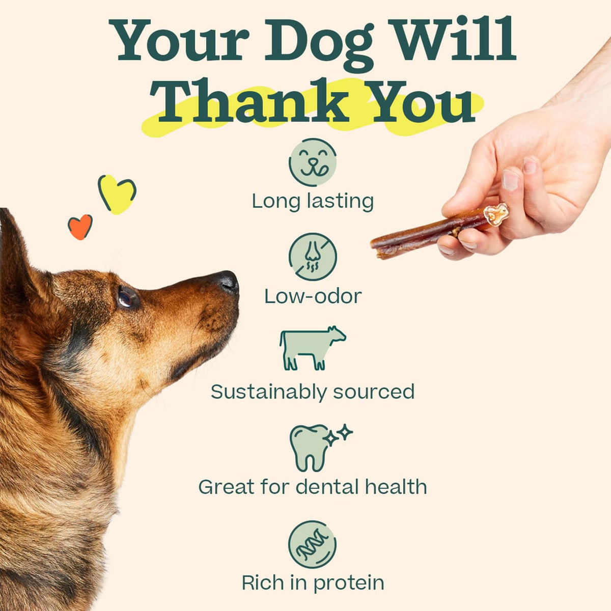 6 Inch 5 Count Dog Chew Treats E360872