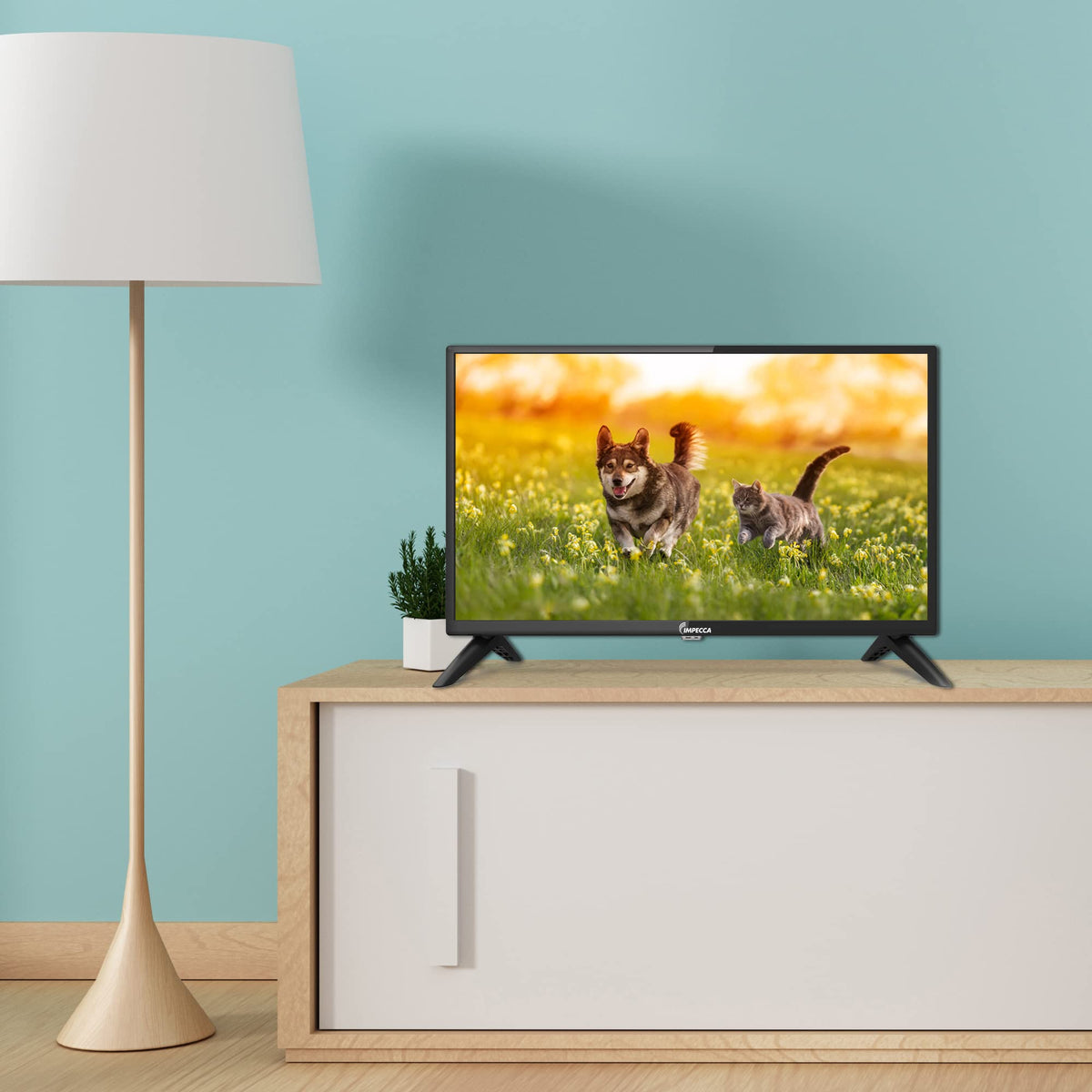 24 inch HD 720p LED TV J3250