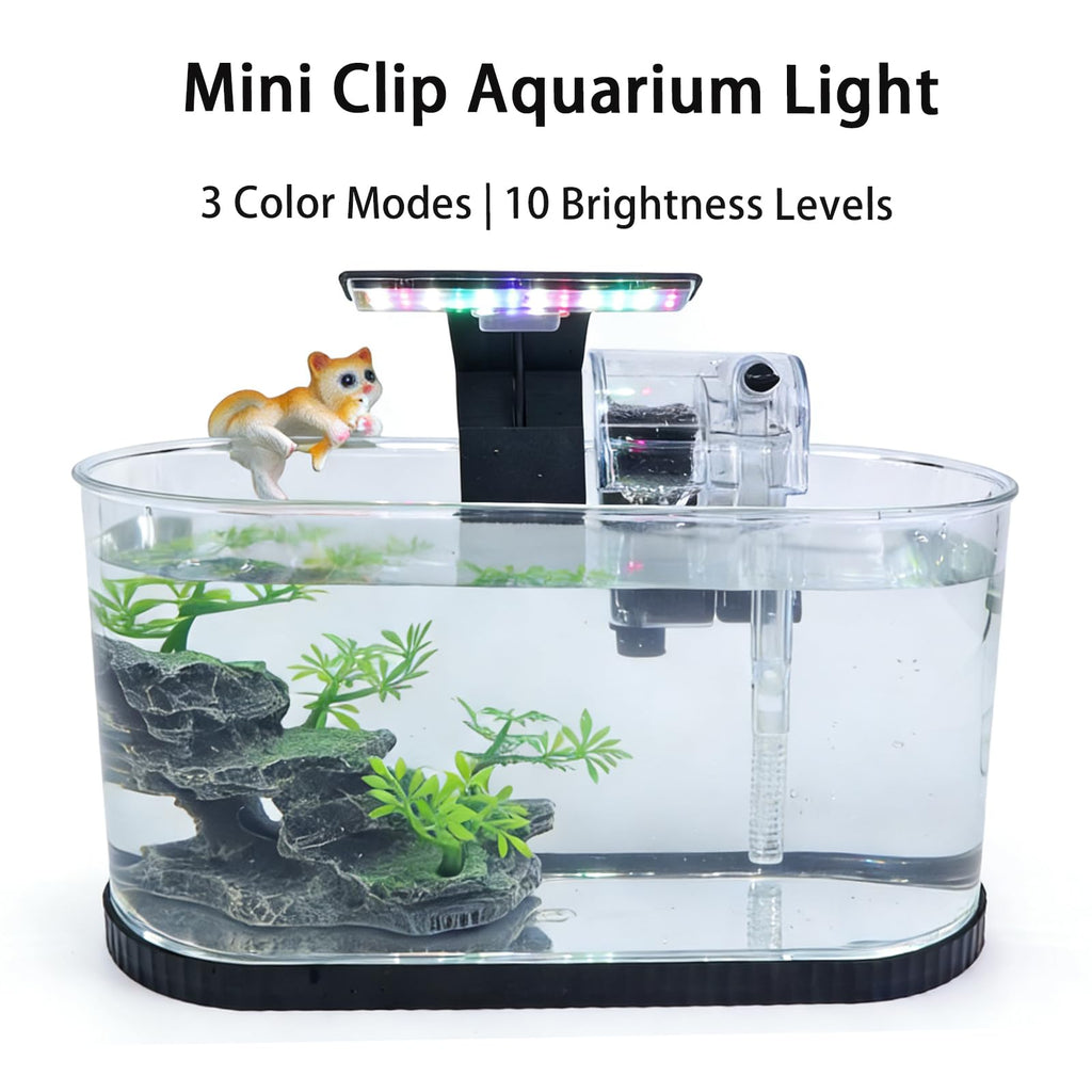 2 Gallon Fish Tank Kit with Filter and Light W634358