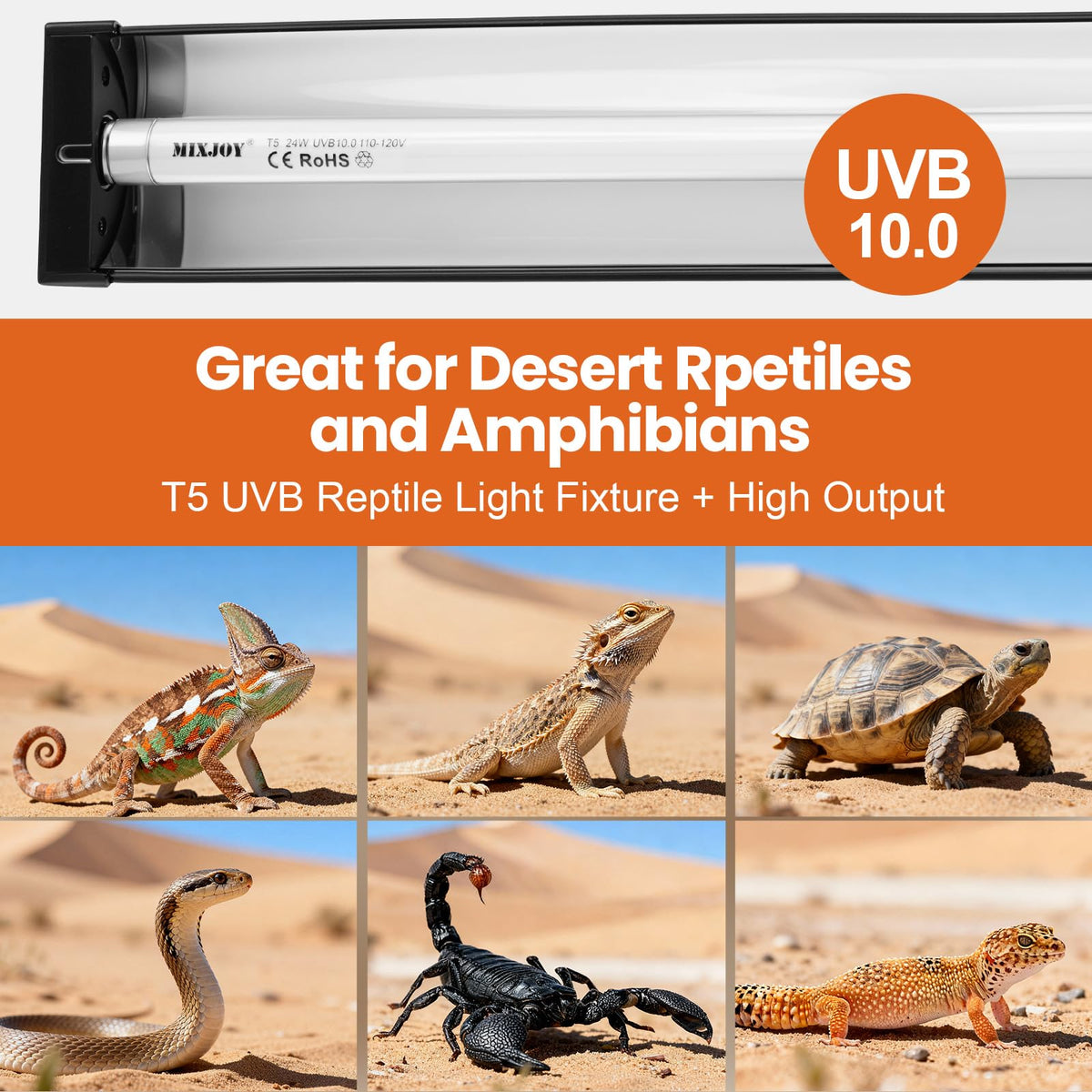 24W 10.0 UVB Reptile Light Kit C2860