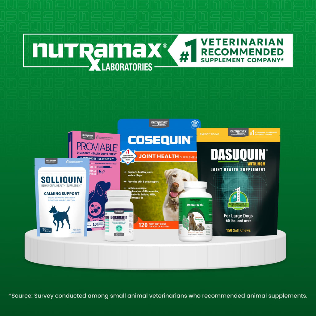 Liver Supplement for Large Dogs, 30ct T56023