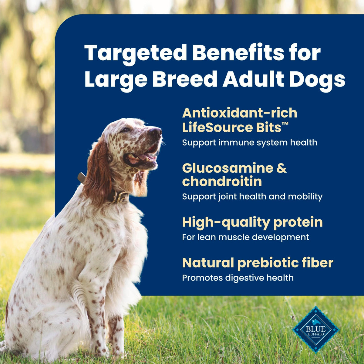 Chicken Large Adult Dog Food 40 lb M953893