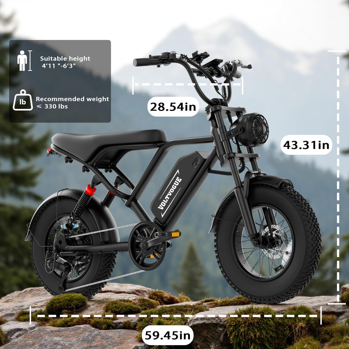 1500W Peak Motor Full Suspension Electric eBike F62314