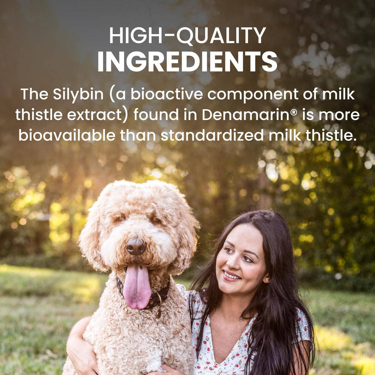 Liver Supplement for Large Dogs, 30ct T56023