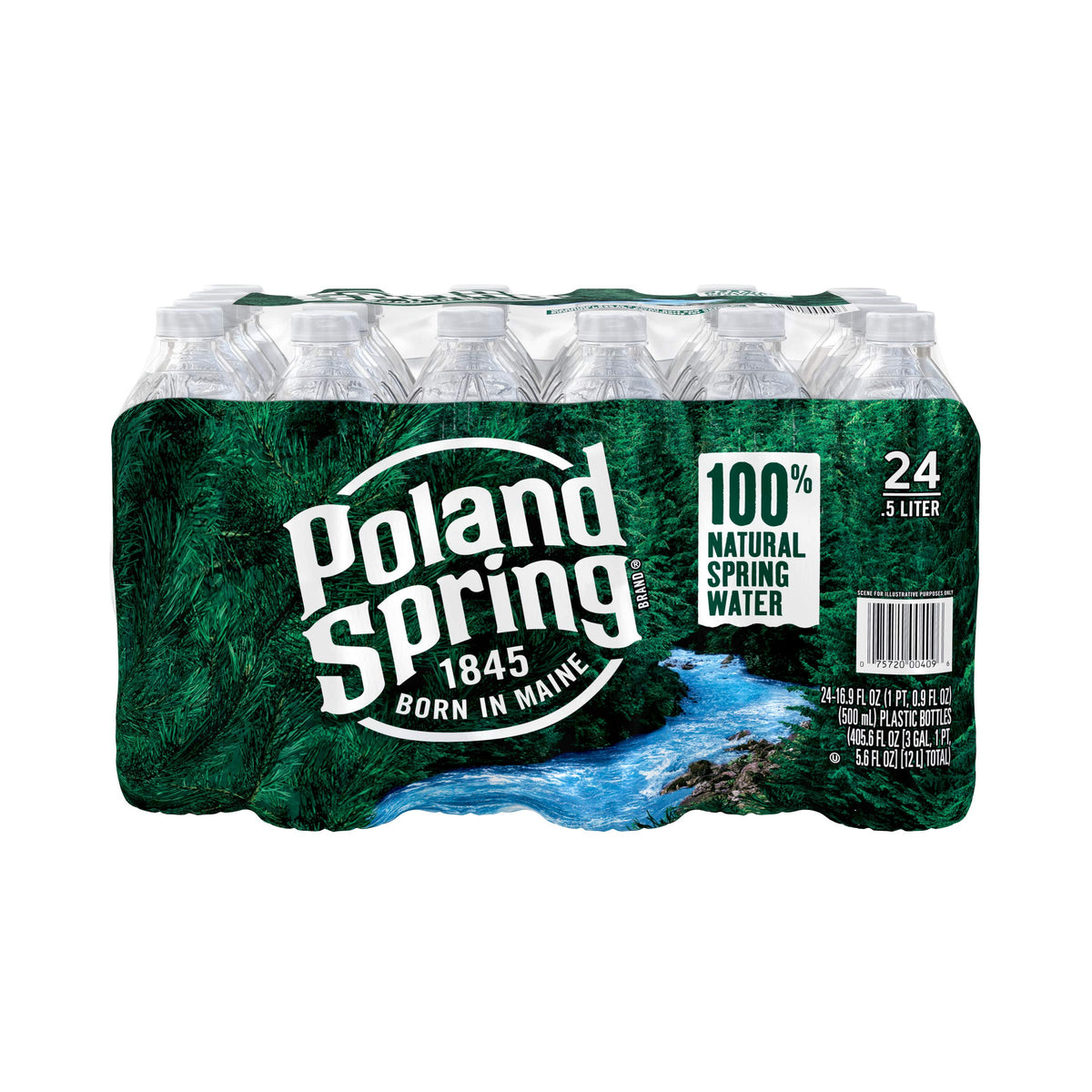 Spring Water 24 Pack 16.9 FZ W841661