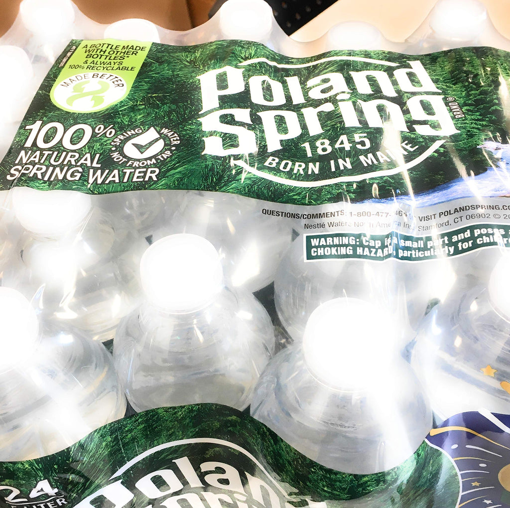 Spring Water 24 Pack 16.9 FZ W841661
