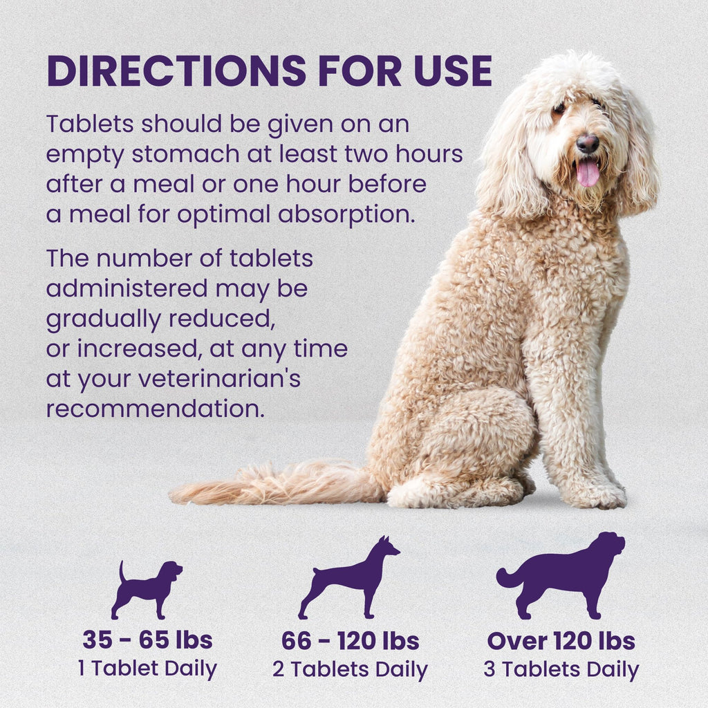 Liver Supplement for Large Dogs, 30ct T56023